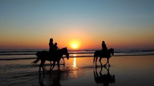 Vakantie Spanje met paard